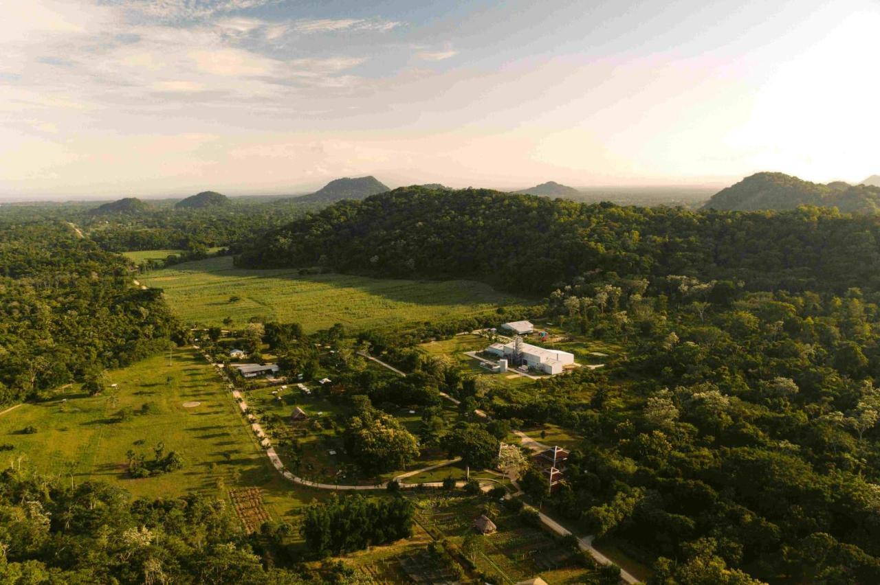 Copal Tree Lodge A Muy'Ono Resort Toledo District Kültér fotó
