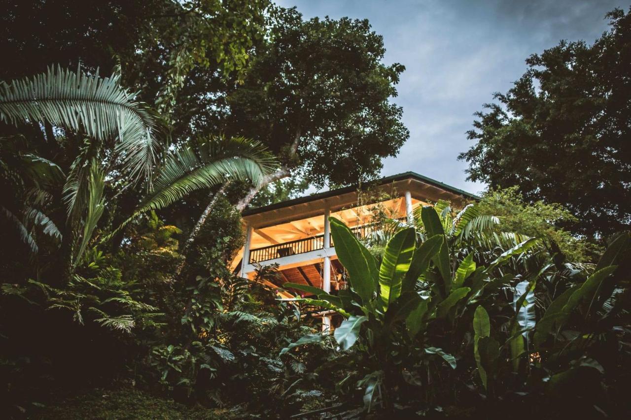 Copal Tree Lodge A Muy'Ono Resort Toledo District Kültér fotó