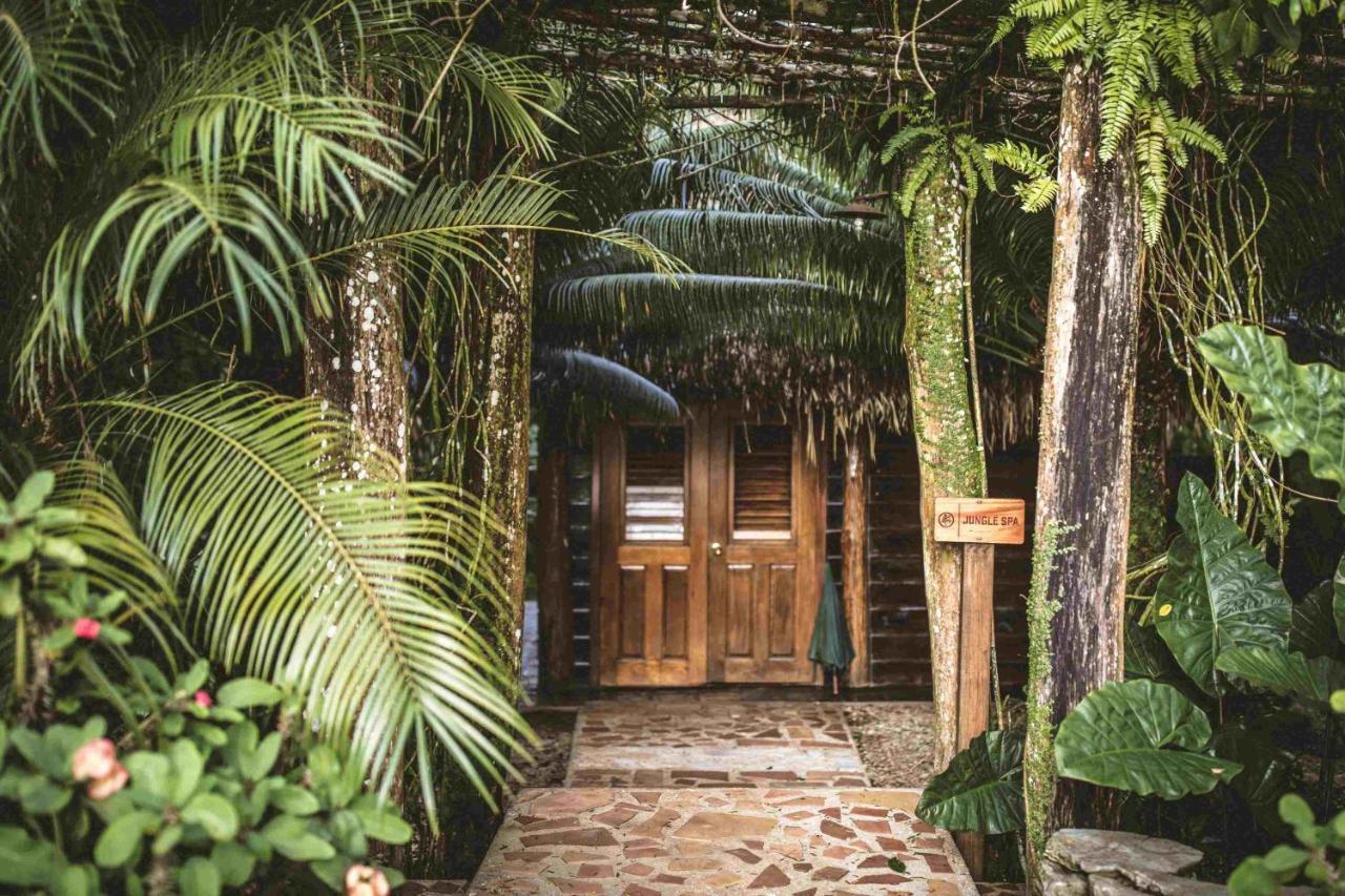 Copal Tree Lodge A Muy'Ono Resort Toledo District Kültér fotó