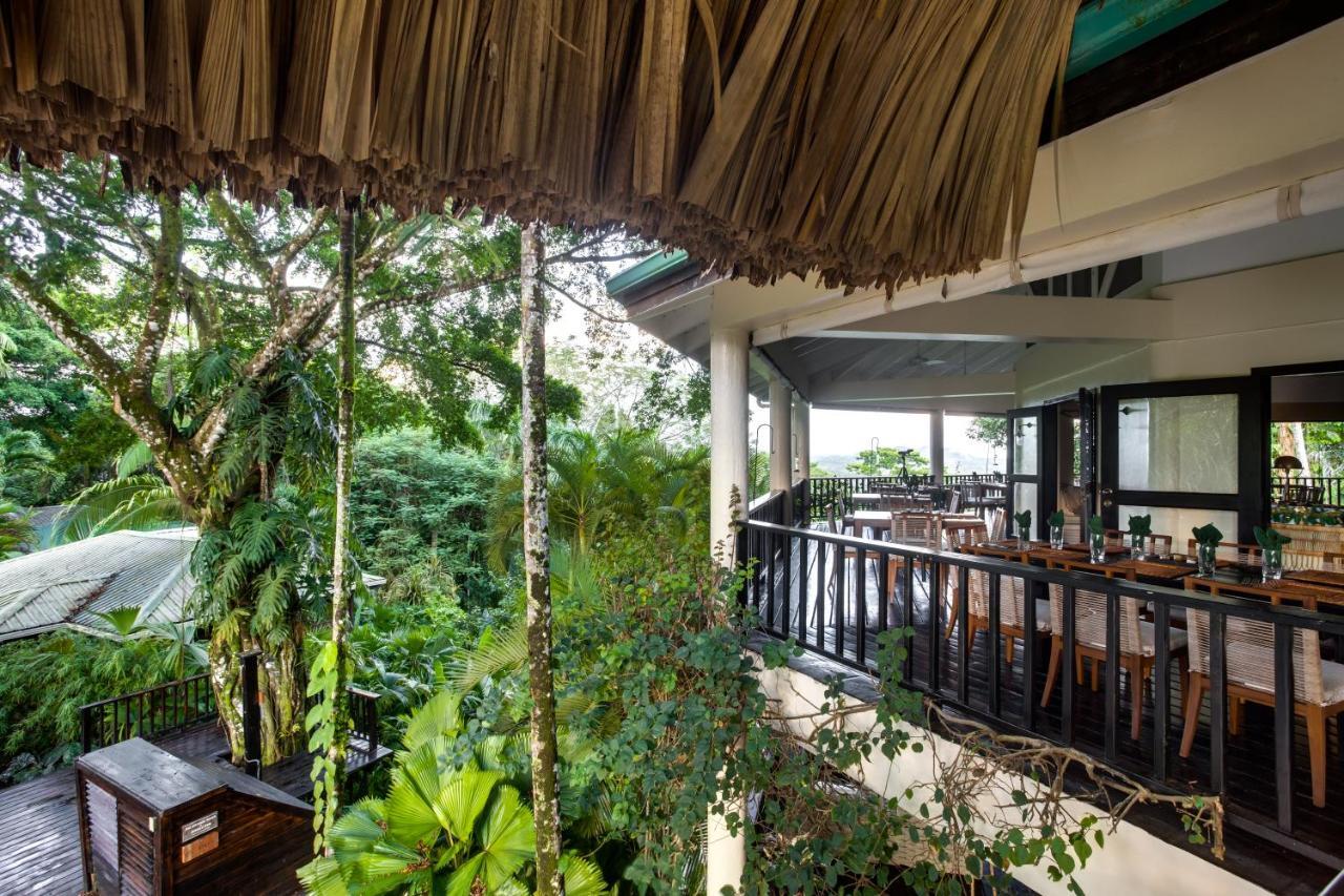 Copal Tree Lodge A Muy'Ono Resort Toledo District Kültér fotó
